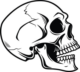 Skull Silhouette, Vector Design, Skull Icon