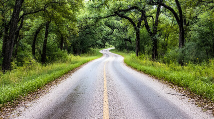 Obraz premium Winding country road through green canopy, summer day. Use travel brochure