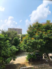 This image showcases a captivating illustration set in a dynamic environment, blending artistic creativity with natural or urban elements. The composition features intricate details, vibrant colors, a