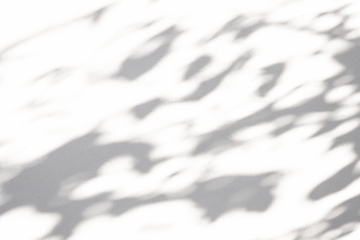Abstract natural tree leaves shadow on white wall background