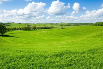 Obraz premium Verdant Rolling Hills Under a Sky Filled with Fluffy Clouds Capturing Tranquility in the Countryside