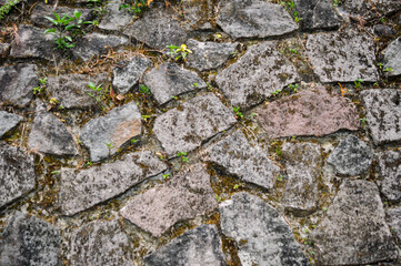 texture and color of the surface of the stone wall