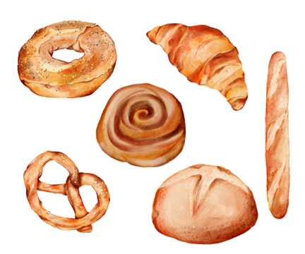 set of fresh baked bread watercolor illustration in transparent background png