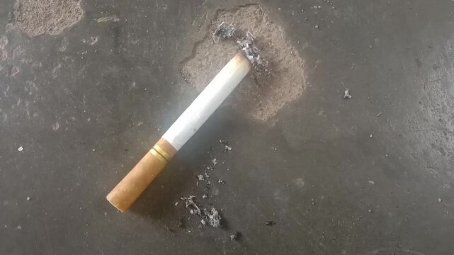 Cigarettes are products that contain tobacco and are usually consumed by burning and then inhaling the smoke. There are various types of cigarettes, such as kretek cigarettes, white cigarettes, and el