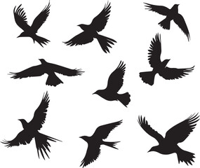 Birds Set flying black silhouette