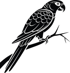 Parrot Silhouette, Vector Design, Parrot Icon