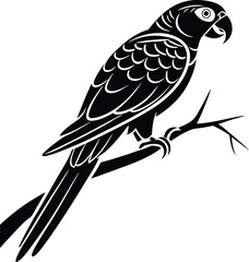 Parrot Silhouette, Vector Design, Parrot Icon