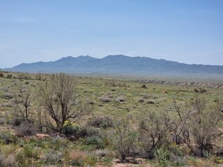 Naklejka premium amazing landscape with mountains and desert 