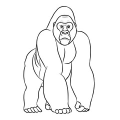 Gorilla cartoon, vector illustration, gorilla icon isolated on white background. Line art.