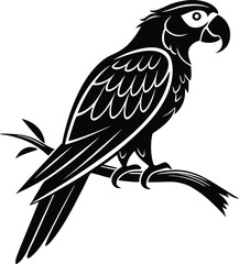 Parrot Silhouette, Vector Design, Parrot Icon