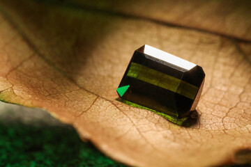 Shiny green gemstone on dry leaf, closeup