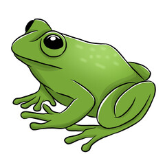 Frog cartoon, vector illustration, frog icon isolated on white background.