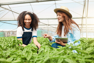 People, team and tablet for farm trade, agriculture production and online for inspection checklist....
