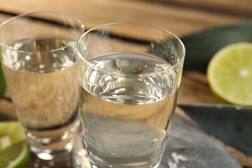 Tequila shots with limes and agave leaves on table, closeup