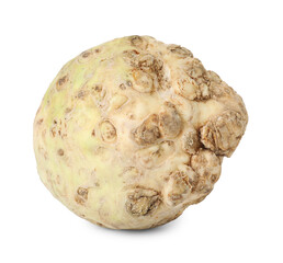 One fresh celery root isolated on white