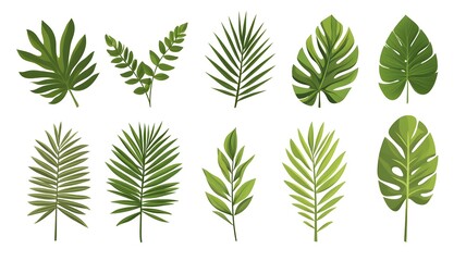 Obraz premium Diverse assortment of tropical leaves for artistic and creative design inspirations