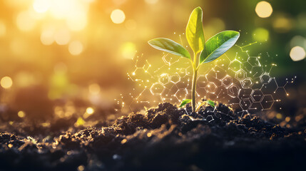 Sprouting green plant with futuristic digital designs, symbolizing the harmony of nature and advanced technology
