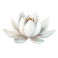 Elegant White Water Lily Blossom with Delicate Petals and Golden Stamen Against a Clean Background