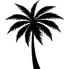 Obraz premium palm tree silhouette