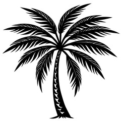 Obraz premium palm tree silhouette
