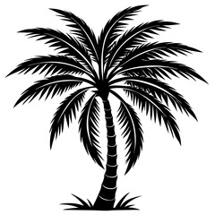 palm tree silhouette