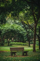Serene park bench surrounded by lush greenery