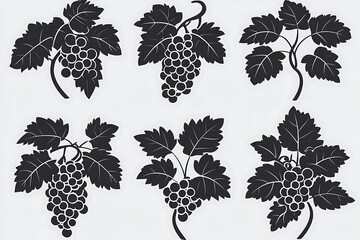 Silhouettes of grape clusters on vines