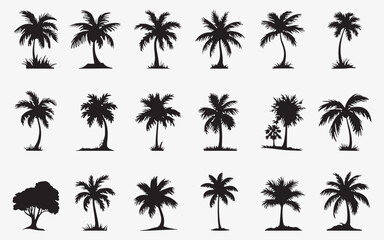 Obraz premium coconut tree silhouette set vector collection
