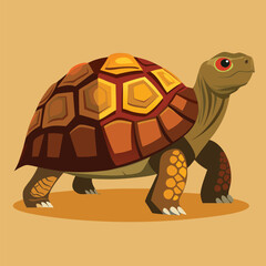 tortoise vector
