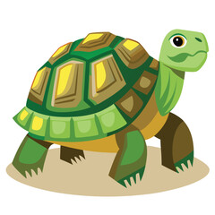 tortoise vector