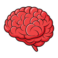 brain illustration white background.