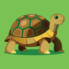 tortoise vector