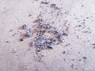 Close-up photograph captures a scattering of cigarette ash on a pale surface, possibly skin. The ash appears as a mix of gray, black, and white particles, with a grainy texture that contrasts wit