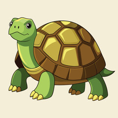 tortoise vector