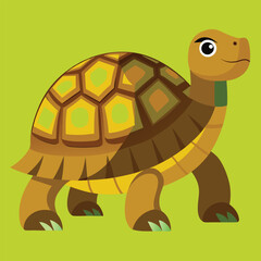 tortoise vector