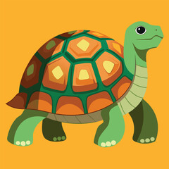 tortoise vector