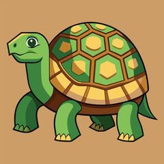 tortoise vector
