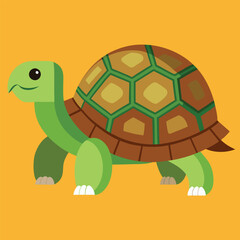 tortoise vector
