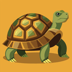 tortoise vector