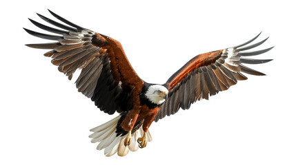Fototapeta premium Majestic eagle soaring through the sky with outstretched wings, showcasing its strength
