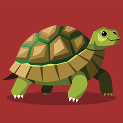 tortoise vector