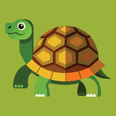 tortoise vector