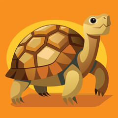 tortoise vector
