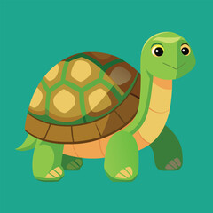 tortoise vector