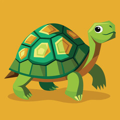 tortoise vector
