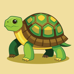tortoise vector