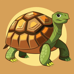 tortoise vector