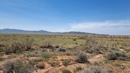 Fototapeta premium beautiful view of desert and mountains