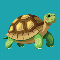 tortoise vector