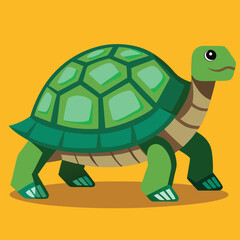 tortoise vector